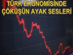 T�rk Ekonomisinde ��k���n Ayak Sesleri