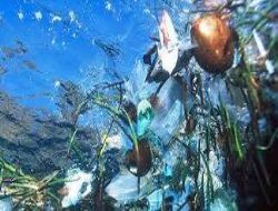 Karadeniz Kirleniyor