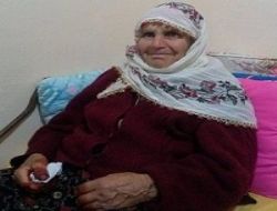 F�nd�k Bah�esinde �l�s� Bulundu