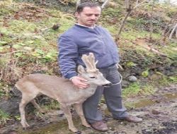 K�peklerden Ka�t� Vatanda�a S���nd�