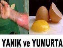 Yumurta Ak�n�n Faydalar�