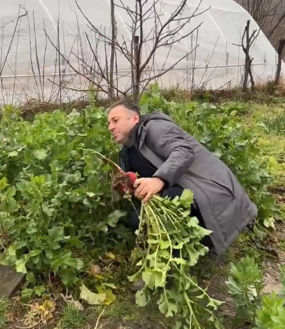 Ata tohum �reticisine tehdit