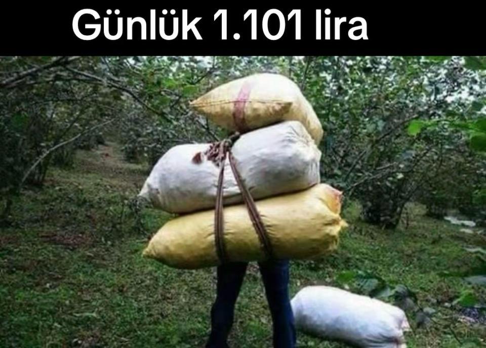 F�nd�k Yevmiyesi Belli Oldu!