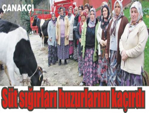 �anak��'da S���rlar�n A�t��� Dert