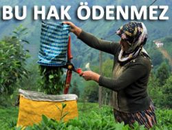 Ya� �ay al�m fiyat� 1.38 lira