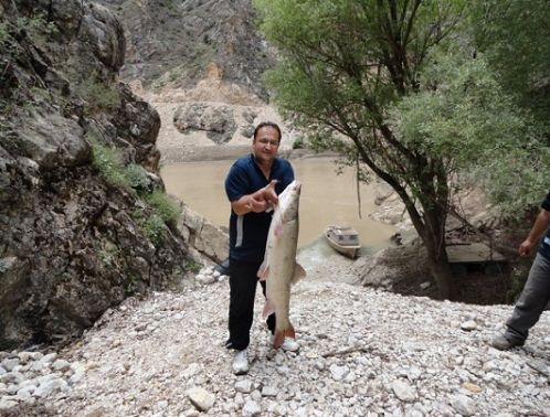 �AVU� TURNAYI G�Z�NDEN VURDU