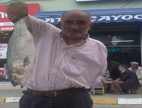 2.5 KG LEVREK OLTAYA GELD�