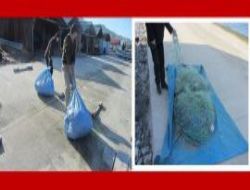 Bal�k�� a�lar�na el konuldu!