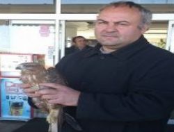 Yaral� Do�an'a Sahip ��kt�