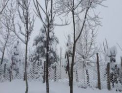 Sisda�� ve Dizgine'ye Kar Ya�d�