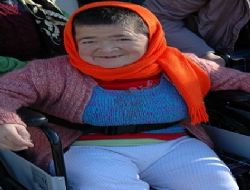 G�rele OFD �yelere Sandalye Da��tt�