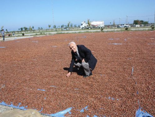 G�rele'li Gazeteci F�nd�k T�ccarl���na Soyundu