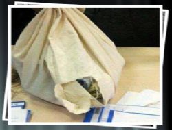 A�r�'da Se�im �ptal Edildi