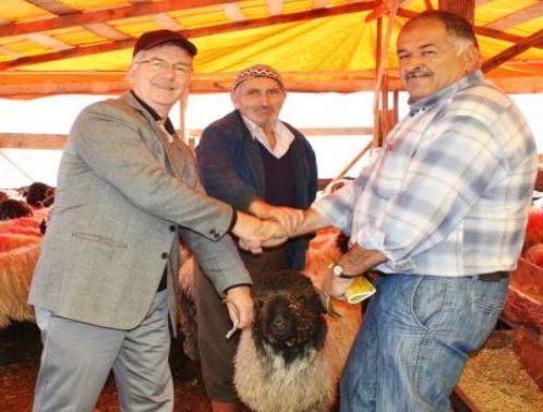 Kurbanl�klar sat��ta