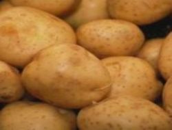 Patates fiyat�na �nlem