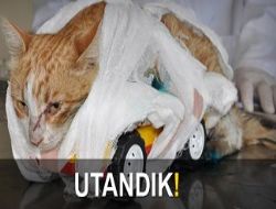 �n bacaklar�n� kesip yol kenar�na b�rakt�lar